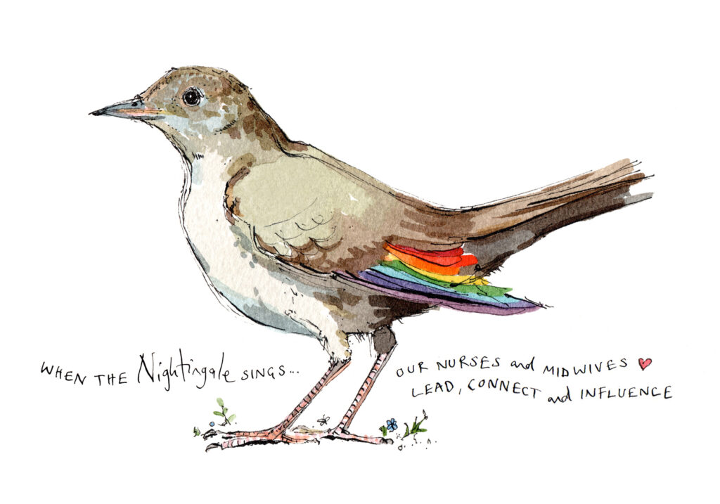 Drawing of Nightingale bird.